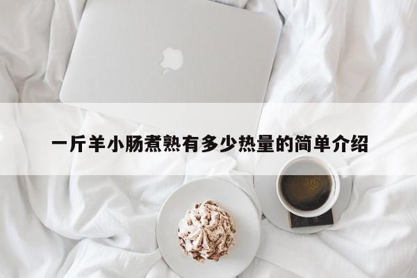 一斤羊小肠煮熟有多少热量的简单介绍