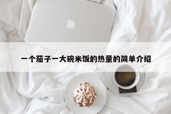 一个茄子一大碗米饭的热量的简单介绍